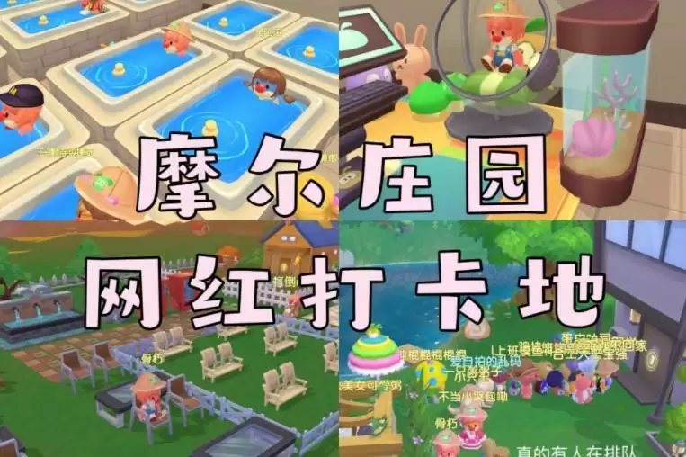 摩尔庄园手游网红打卡地分享