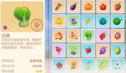 摩尔庄园手游白菜怎么获得