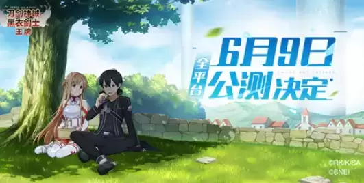 刀剑神域黑衣剑士王牌礼包码兑换码大全分享