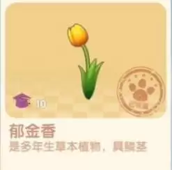 摩尔庄园手游郁金香怎么得