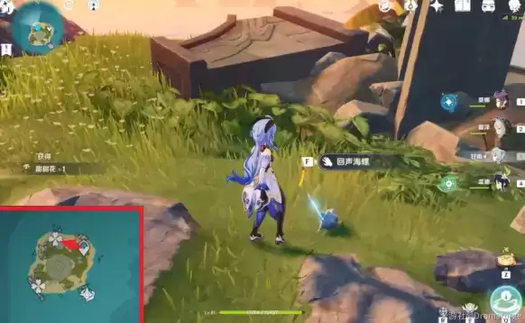 原神6月11日27个回声海螺位置大全