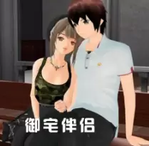 御宅伴侣高压