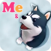 二哈模拟器