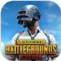 PUBG MOBILE国际服安卓1.5