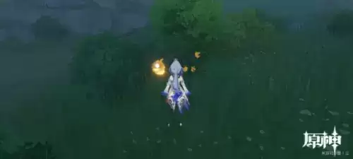 原神黄色采集物是什么？黄色的采集物拍摄路线攻略[多图]图片8