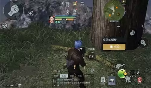 黎明觉醒藏宝图三棵树在什么位置