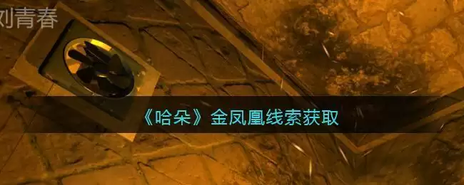 《孙美琪疑案：哈朵》四级线索——金凤凰