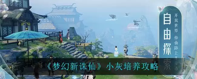 《梦幻新诛仙》小灰培养攻略