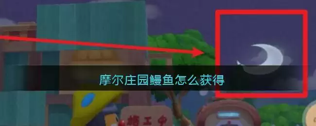 摩尔庄园鳗鱼怎么获得