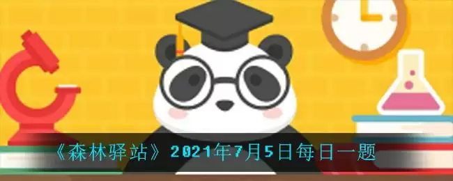 《森林驿站》2021年7月5日每日一题