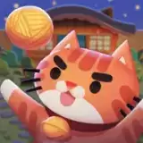 快给猫玩