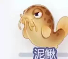 摩尔庄园手游泥鳅什么时间段能钓