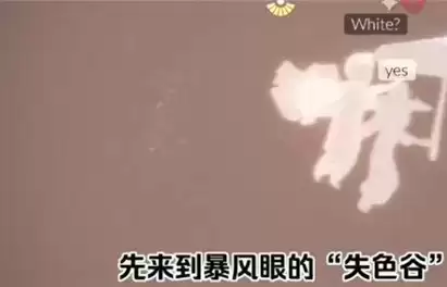 《光遇》石头桥在哪里