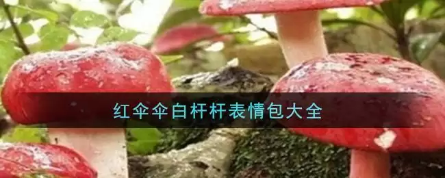 红伞伞白杆杆表情包大全