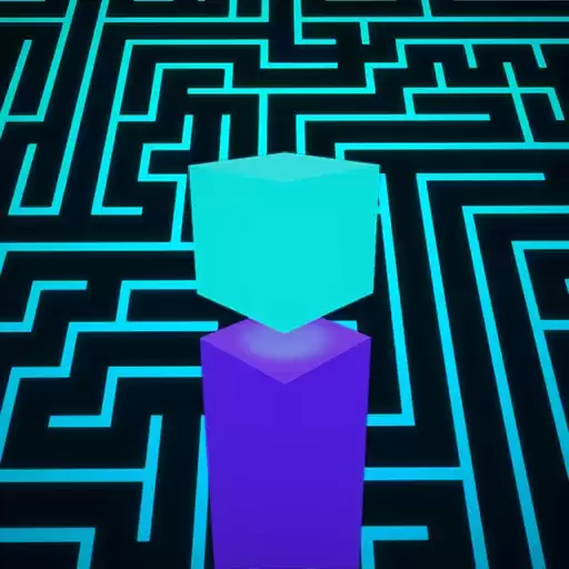 有趣的迷宫3D