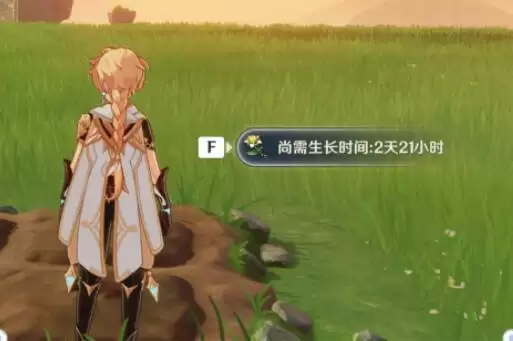 《原神》种植流程一览