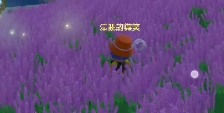 摩尔庄园获取薰衣草花梗攻略大全 薰衣草花梗获取方法介绍图片2