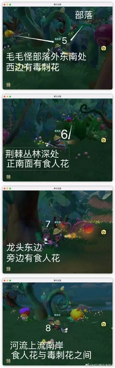 《摩尔庄园》怎么与拉姆玩耍