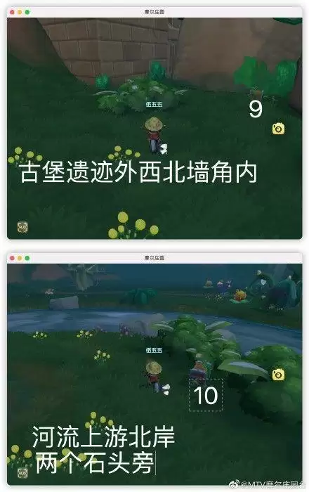 《摩尔庄园》怎么与拉姆玩耍