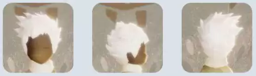 光遇星光沙漠玫瑰在哪 光遇星光沙漠玫瑰位置 光遇星光沙漠玫瑰在哪 光遇星光沙漠玫瑰位置