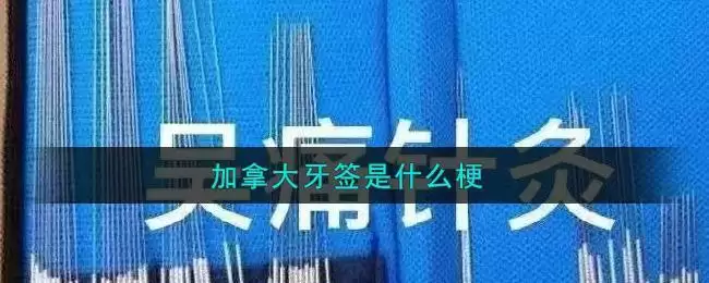 加拿大牙签是什么梗