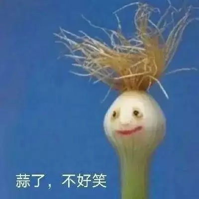 蒜了表情包汇总