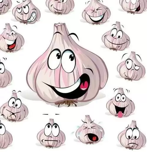 蒜了表情包汇总