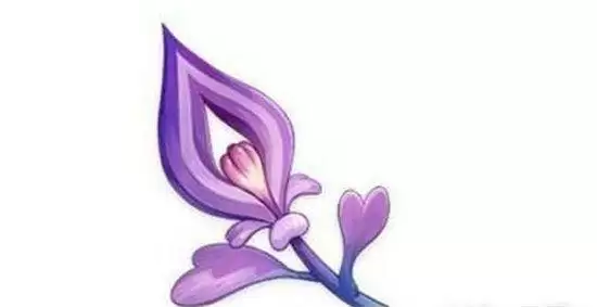 《原神》鸣草刷新时间介绍