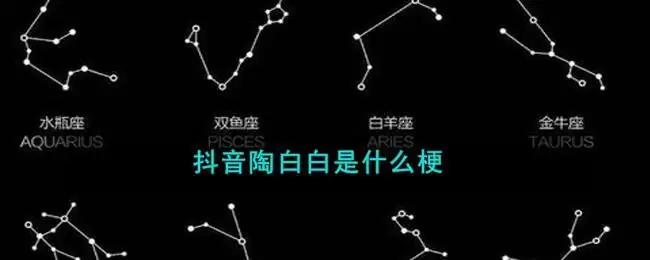 抖音陶白白是什么梗