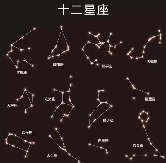 抖音陶白白是什么梗