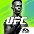 UFC终极格斗冠军2