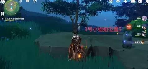 《原神》谜样的人影位置介绍