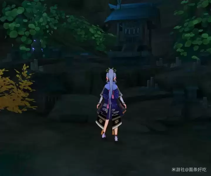 《原神》鹮巷物语全收集攻略