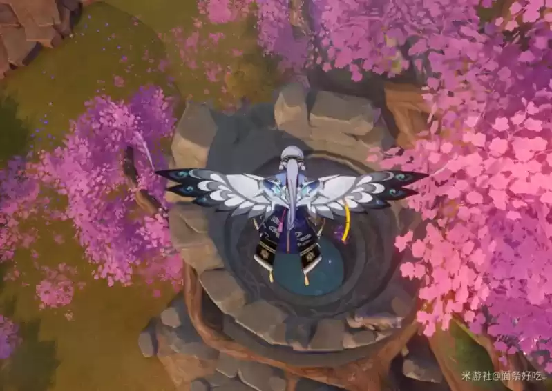 《原神》鹮巷物语全收集攻略