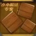 小小解谜专家正
