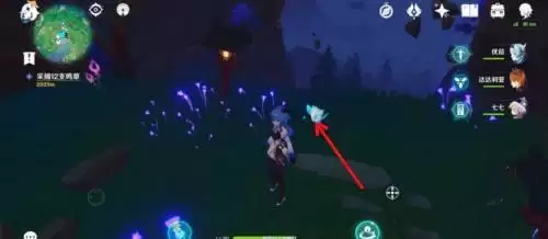 《原神》武者的宿命12颗鸣草采集地点