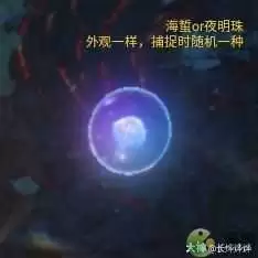 一梦江湖伏月节鲸波行生物图鉴一览