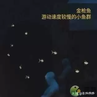 一梦江湖伏月节鲸波行生物图鉴一览