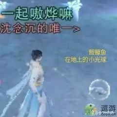 一梦江湖伏月节鲸波行生物图鉴一览
