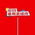 看我来捉鸡