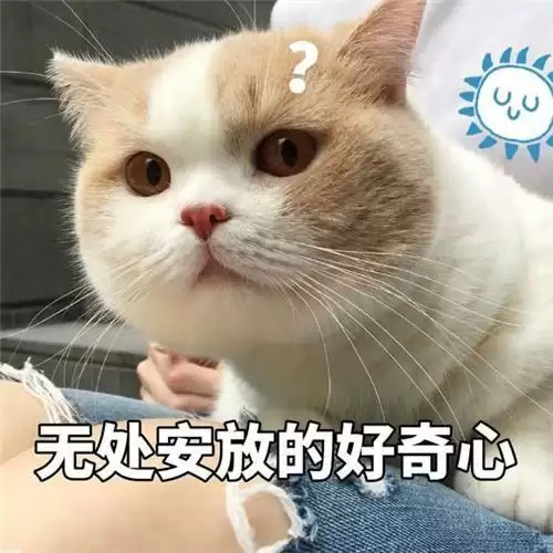 快乐就完事!看网元圣唐如何打造大众喜爱的IP