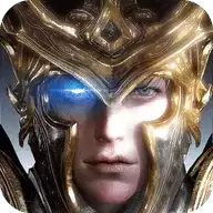 黑金圣骑士