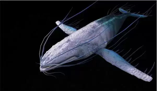 《妄想山海》万年鲲进化丹如何获得