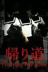 归家夜途