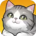 养了个猫
