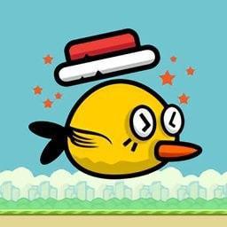 傻鸟飞行