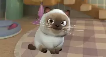 《时光公主》猫咪如何获得