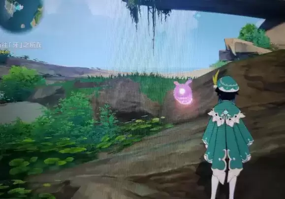 《原神》晴天鳅鳅位置