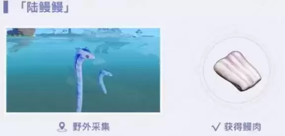 《原神》鳗肉能制作什么料理