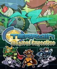 Terrain of Magical Expertise游戏库